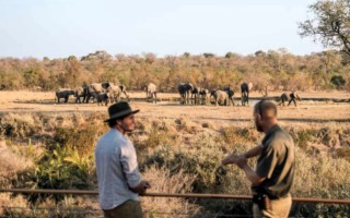 Simbambili [320x200]